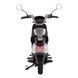 Електроскутер 2E FY70 Grey (2EESFYYS70J) 2EESFYYS70J фото 7