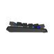 Клавиатура A4Tech FS100 RGB FS Switch USB Stone Black (4711421000567) 4711421000567 фото 4