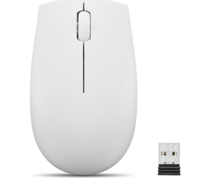 Мышка Lenovo 300 Wireless Mouse Cloud Grey GY51L15677 фото