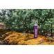 Термос Tramp Expedition Line 0.75 л Purple (UTRC-031-purple) UTRC-031-purple фото 4