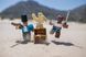 Игровая коллекционная фигурка Roblox Game Packs Cannoneers: Battle for Jolly Island W6 ROB0266 фото 3