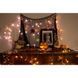 Гірлянда Twinkly Smart LED Strings RGBW 250, BT+WiFi, Gen II, IP44, кабель пр (TWS250SPP-TEU) TWS250SPP-TEU фото 15
