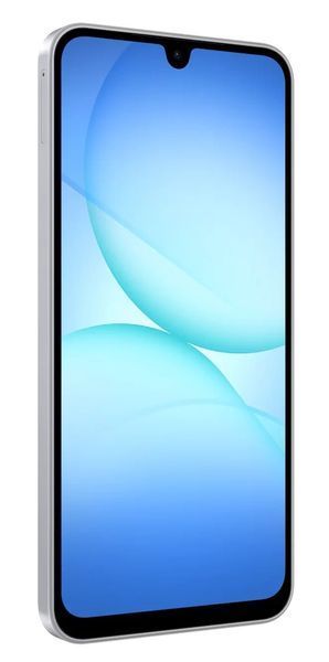 Смартфон Samsung Galaxy A17 LTE 4/128GB Gray (SM-A175FZABEUC) SM-A175FZABEUC фото