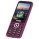 Мобильный телефон Sigma X-style 31 Power Type-C Purple (4827798855041) 4827798855041 фото 3