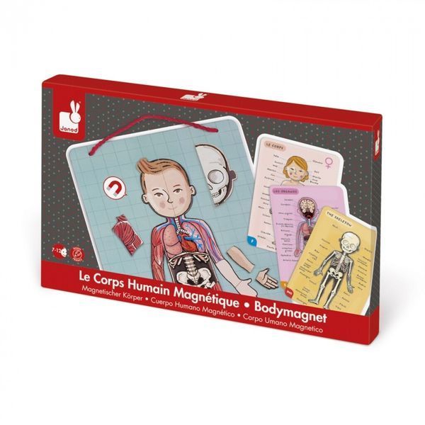 Игровой магнитный набор Janod Тело человека J05491 фото