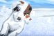 Набор для творчества PAINTING BY NUMBERS JUNIOR Puppies and Ducks Sequin Art SA1332 фото 3