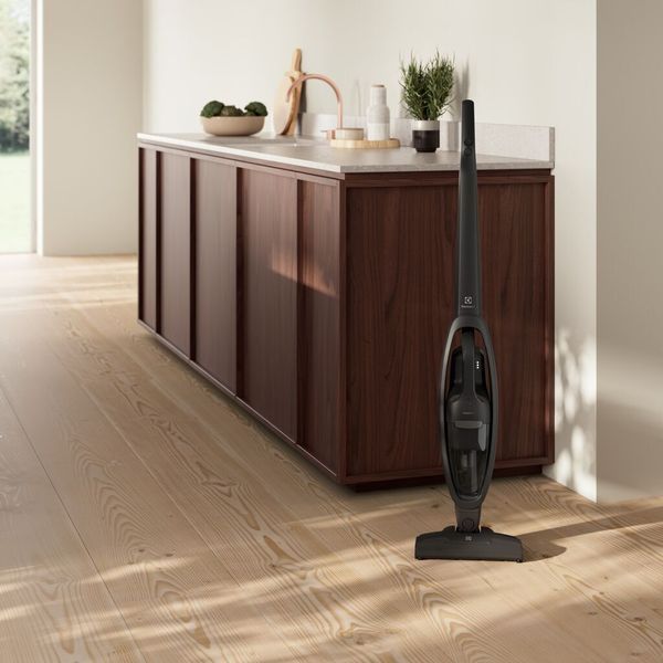Пилосос вертикальний Electrolux ES31CB18GG ES31CB18GG фото