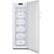 Морозильная камера Gorenje FN4172CW FN4172CW фото 2