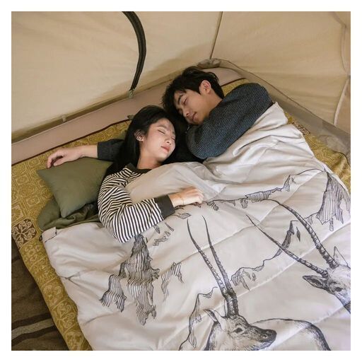 Спальний мішок Naturehike двомісний із подушками NH21MSD06 Green (6927595795330) 6927595795330 фото