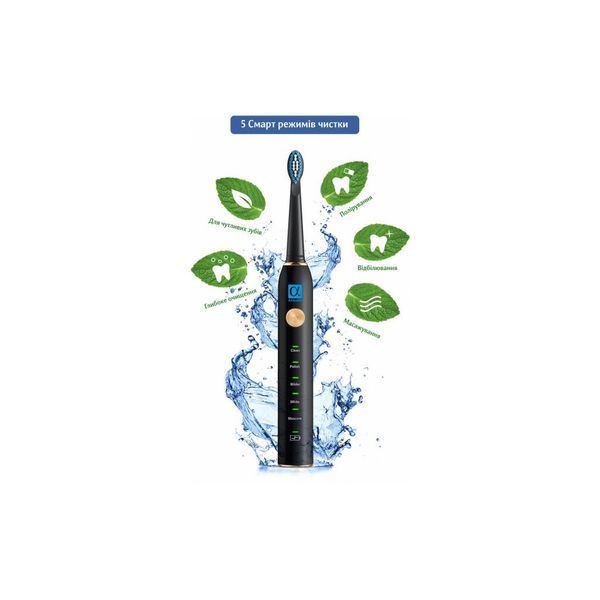 Электрическая зубная щетка AHealth SMART SONIC SMILE 1 black (AHsss1b) AHsss1b фото