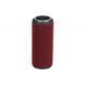 Акустична система 2E SoundXTube TWS MP3 Wireless Waterproof Red (2E-BSSXTWRD) 2E-BSSXTWRD фото 5