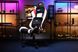 Кресло 2E GAMING BUSHIDO II, ПУ кожа, 3D-Armrests, чёрно-белый 2E-GC-BUS-WT фото 3