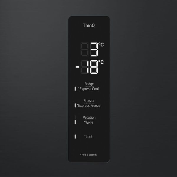 Холодильник LG GC-B509FTZW GC-B509FTZW фото