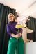 Пароочиститель Karcher SC 3 Deluxe Anniversary Edition (1.513-436.0) 1.513-436.0 фото 6