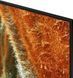 Телевизор 55" Samsung QE55QN70F QE55QN70F фото 5