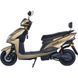 Електроскутер Maxxter SPEEDY GTS Gold SPEEDY GTS (gold) фото 3
