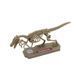 Конструктор Dino Valley "Діно" міні скелет динозавра (542040) 542040 фото 4