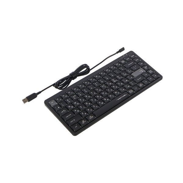 Клавіатура A4Tech FX53 USB UA Black (4711421002394) 4711421002394 фото