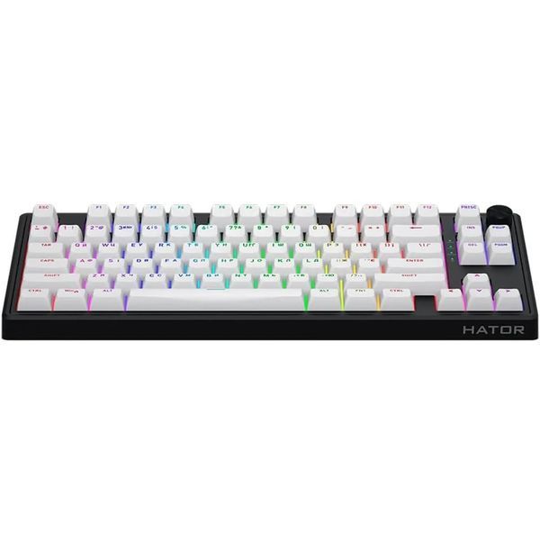 Клавиатура HATOR Skyfall 80 Wireless (HTK3180UA) Black-White HTK3180UA фото