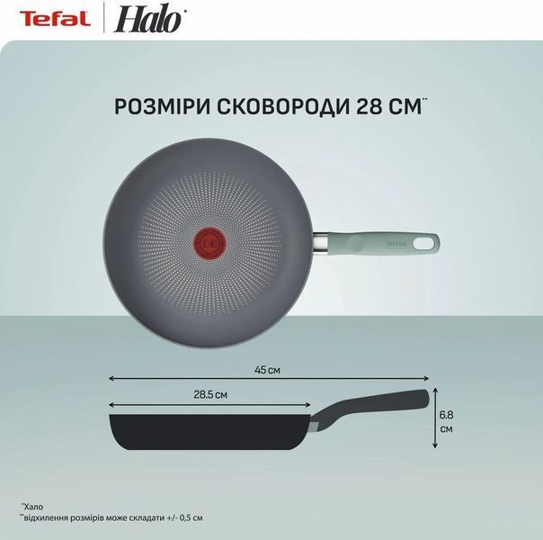 Сковорода Tefal Halo Eucalyptus універсальна, 28 см б/кр (G0160602) G0160602 фото
