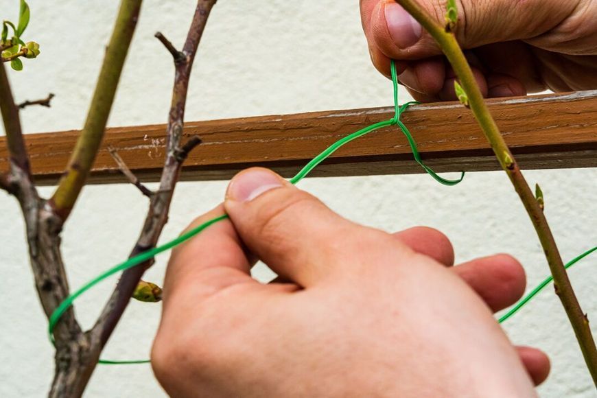 Дріт садовий Verto, ПВХ-оболонка, з обрізувачем, 0.15смх50м, зелений (15G530) 15G530 фото