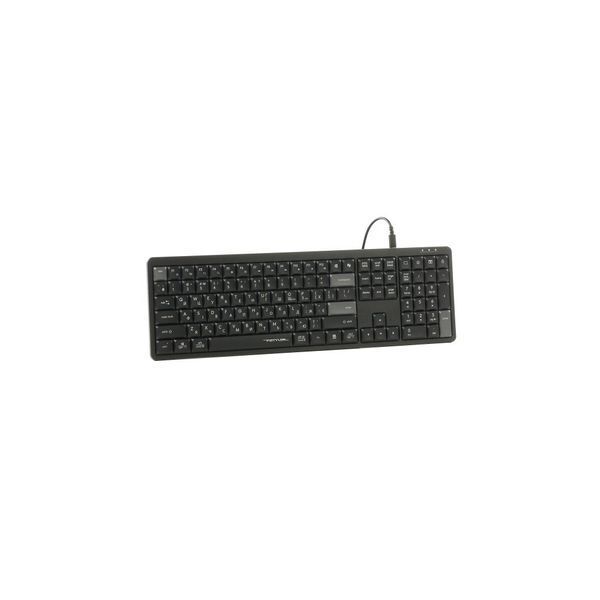 Клавиатура A4Tech FX55 USB UA Black (4711421002417) 4711421002417 фото