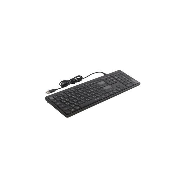 Клавиатура A4Tech FX55 USB UA Black (4711421002417) 4711421002417 фото