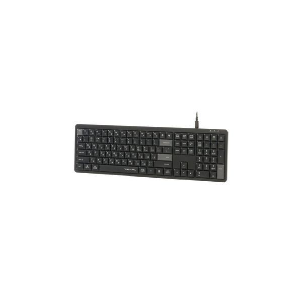 Клавиатура A4Tech FX55 USB UA Black (4711421002417) 4711421002417 фото