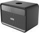 Акустика портативная HiFuture Passion X 100W Black