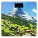 Ваги підлогові ARDESTO SCB-965MATTERHORN макс. вага 150 кг/малюнок SCB-965MATTERHORN фото 1