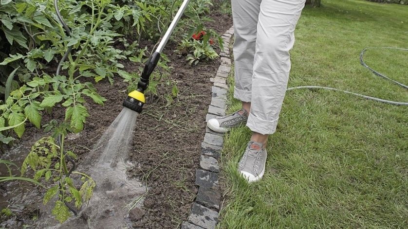 Зрошувач ручний Karcher "Plus", Штанга для поливу, душ садовий, 6 режимів, поворотна основа 2.645-158.0 фото